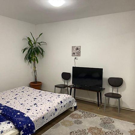 Ardelean Apartment Oradea Dış mekan fotoğraf