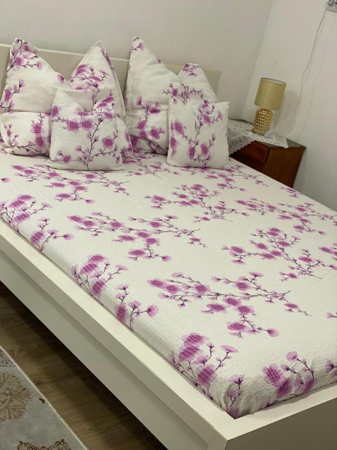 Ardelean Apartment Oradea Dış mekan fotoğraf